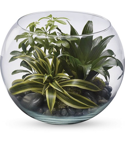 Sphere Of Tranquility Terrarium